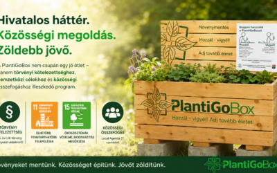 A PlantiGoBox: helyi kezdeményezés, amely globális célokat szolgál