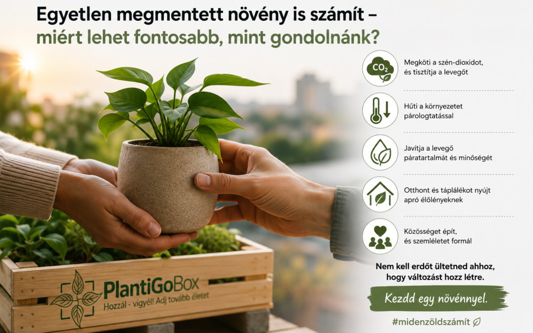 Egyetlen megmentett növény is számít – miért lehet fontosabb, mint gondolnánk?