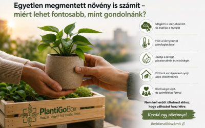 Egyetlen megmentett növény is számít – miért lehet fontosabb, mint gondolnánk?