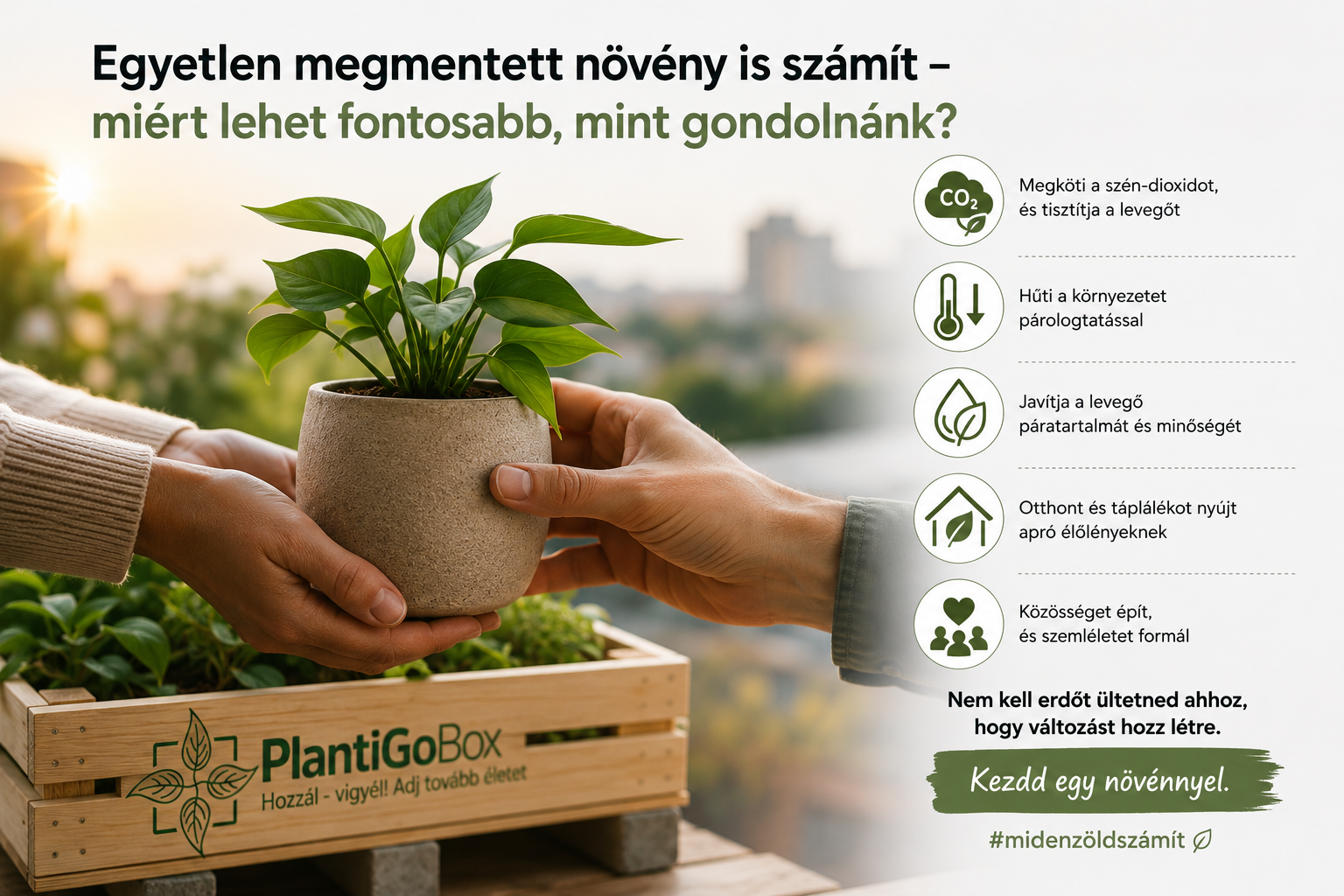 plantigo-box-egyetlen-megmentett-noveny-is-szamit